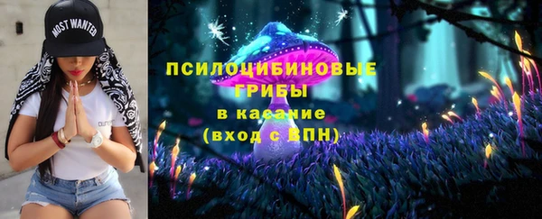 ПСИЛОЦИБИНОВЫЕ ГРИБЫ Абинск