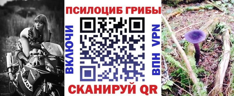 Галлюциногенные грибы Cubensis  Сусуман 